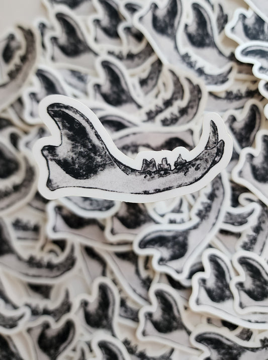 Cat Jaw Bone Vinyl Sticker