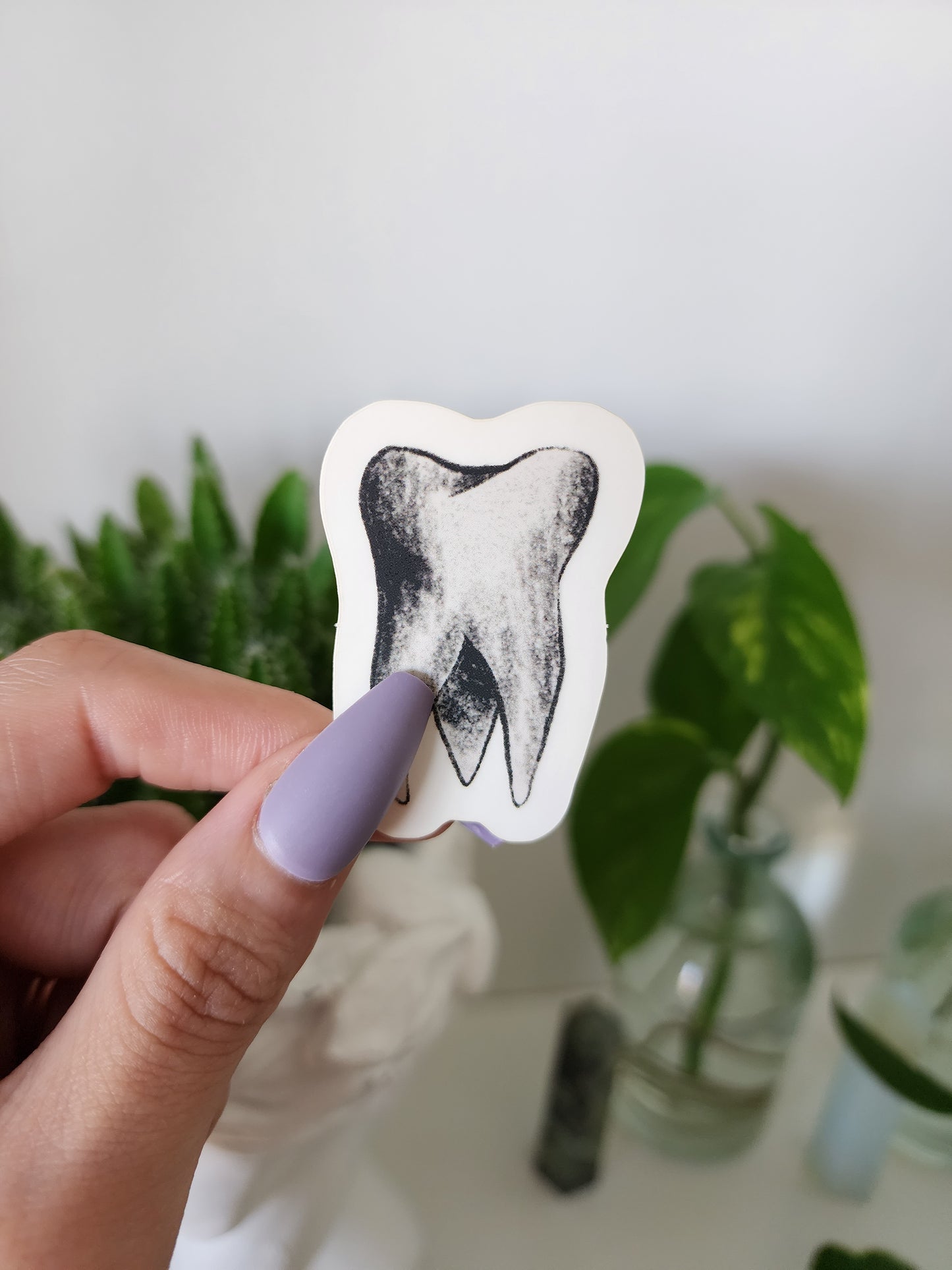 Tooth Vinyl Sticker