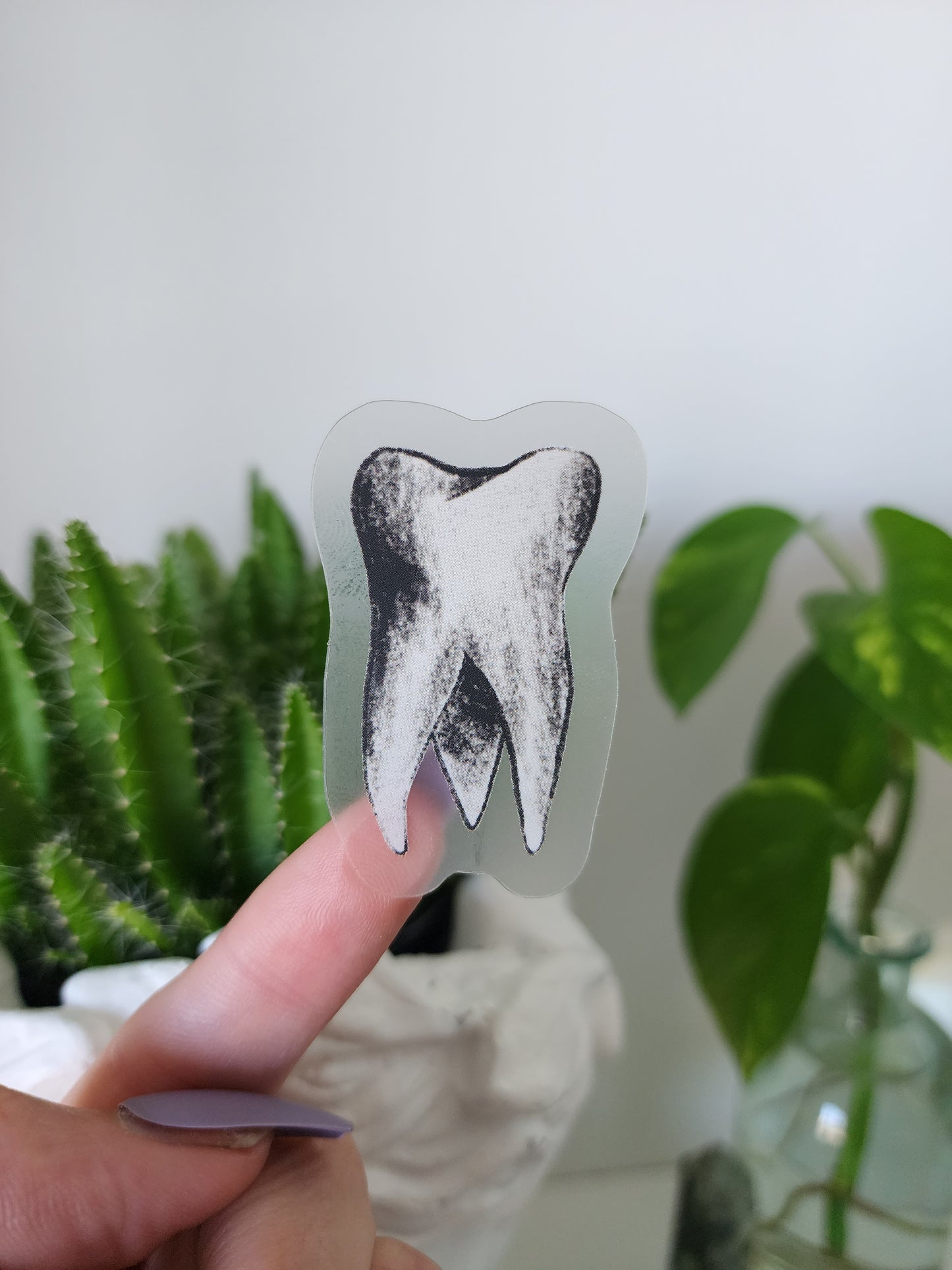 Tooth Vinyl Sticker