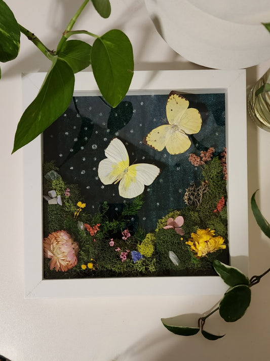 8x8 Inch Shadow Box Terrarium